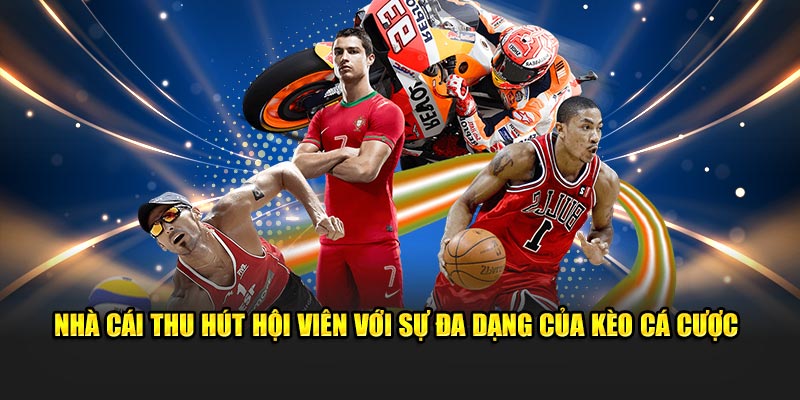 Nhà cái thu hút hội viên với sự đa dạng của kèo cá cược 